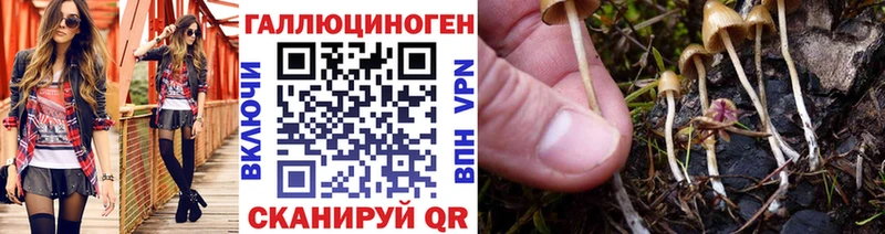 где купить наркотик  Кулебаки  Галлюциногенные грибы Psilocybine cubensis 