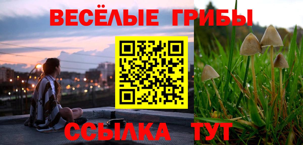 Псилоцибиновые грибы Psilocybe Кулебаки